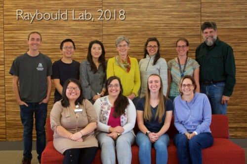 Raybould Lab 2018