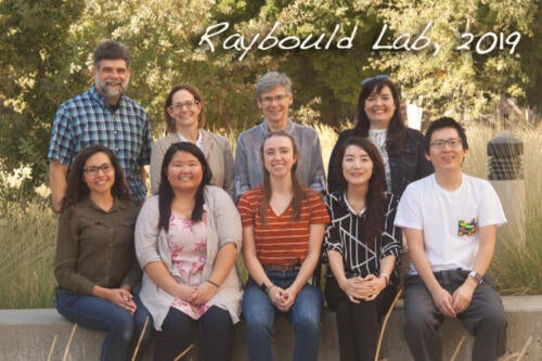 Raybould Lab, 2019